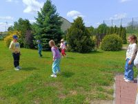 IMG20250602121236_1
