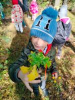 IMG-20251009-WA0008