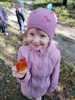 IMG-20251009-WA0013