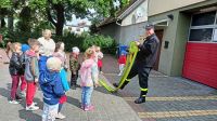 IMG-20250617-WA0025