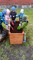 IMG-20250626-WA0008