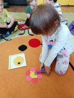 IMG20260520115045