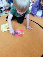 IMG20260520115202