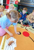 IMG_20260520_134608