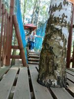 IMG20250623104727