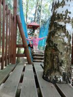 IMG20250623104809