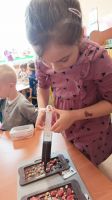 IMG-20250528-WA0022